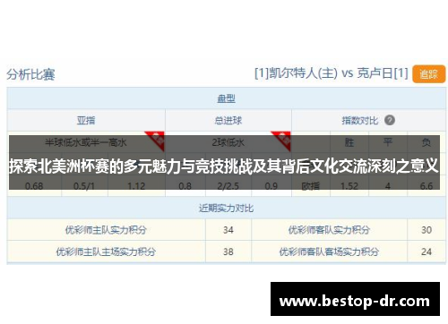探索北美洲杯赛的多元魅力与竞技挑战及其背后文化交流深刻之意义