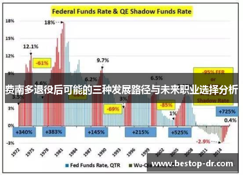费南多退役后可能的三种发展路径与未来职业选择分析